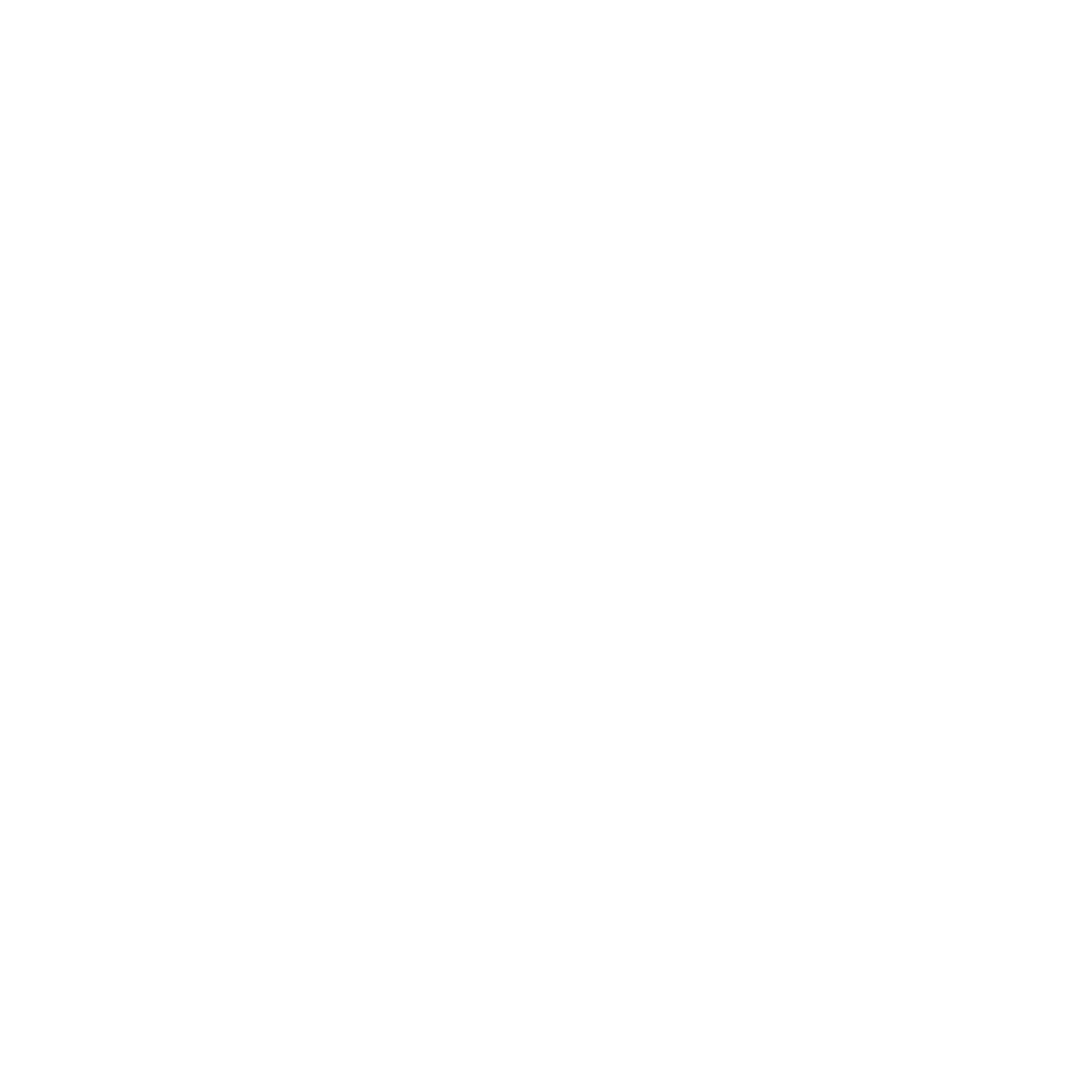 logo-pro-white